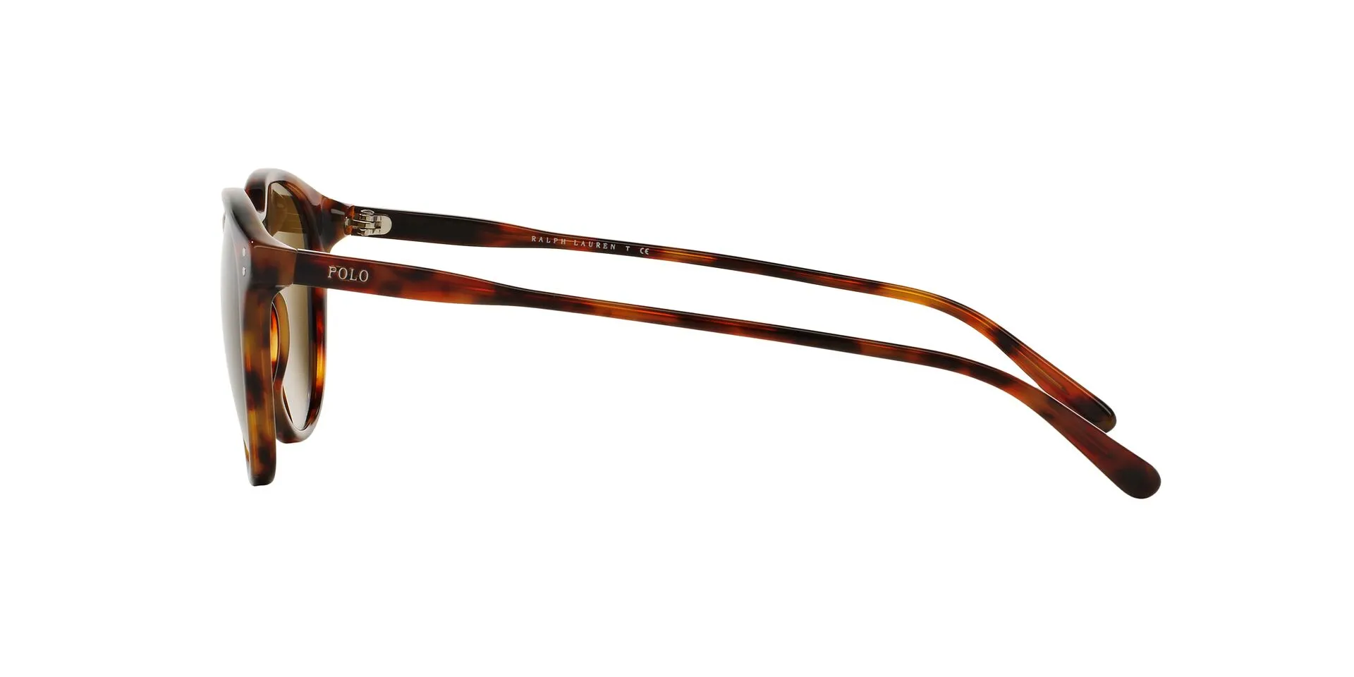 Polo Ralph Lauren PH4110 sold by Fashion Eyewear product image thumbnail 3