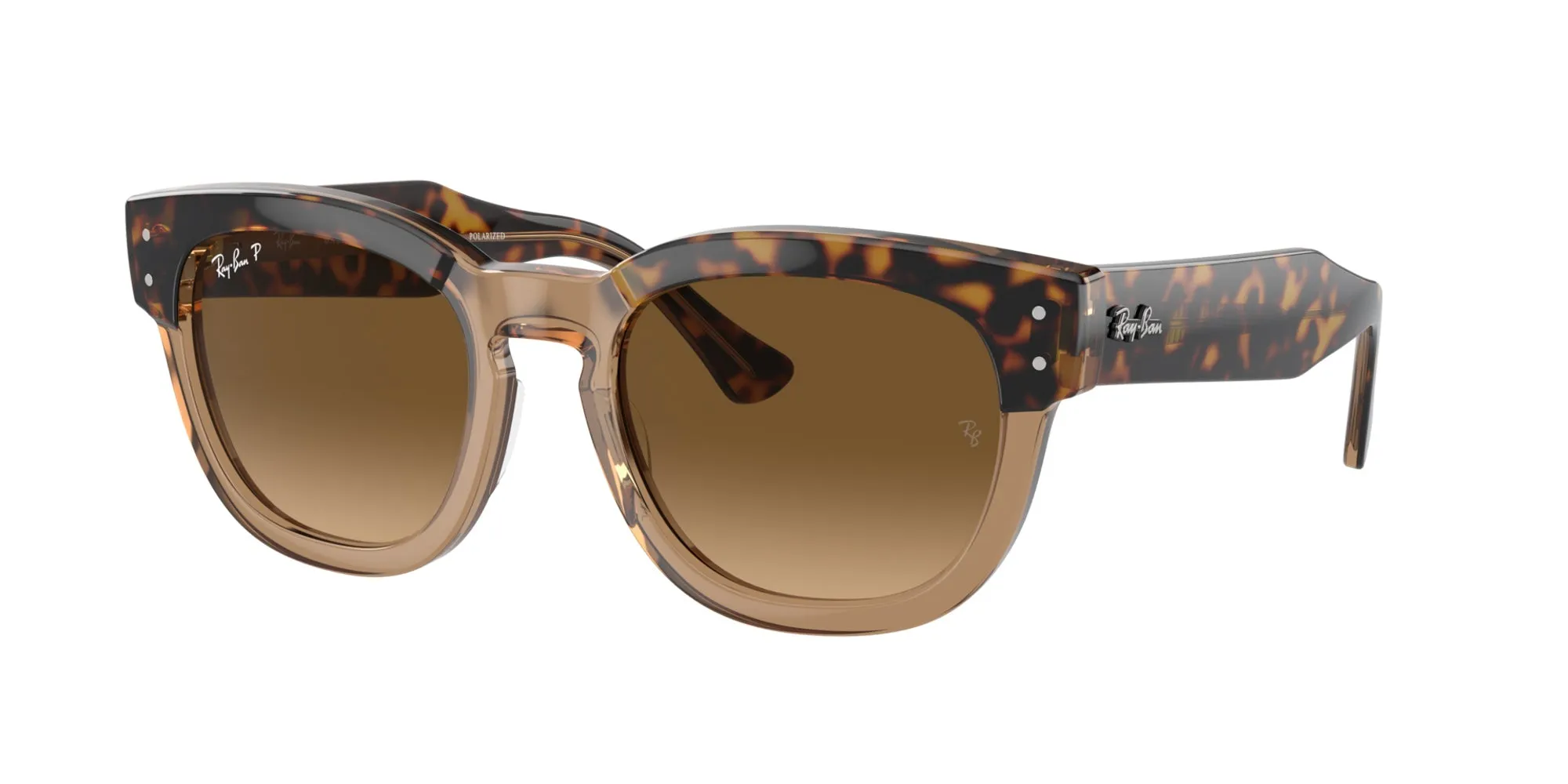 Ralph Lauren RL8205 sold by Fashion Eyewear product image thumbnail 4