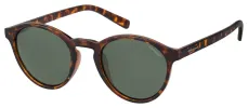 Polaroid PLD1013/S sold by Fashion Eyewear