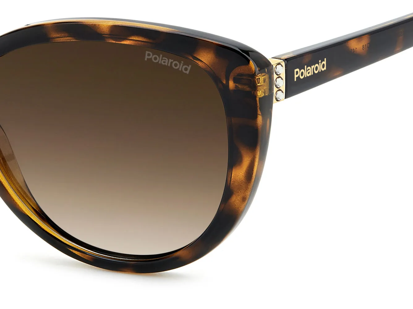 Polaroid PLD 4176/S/X sold by Fashion Eyewear product image thumbnail 5
