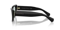 Tiffany TF4230 sold by Fashion Eyewear