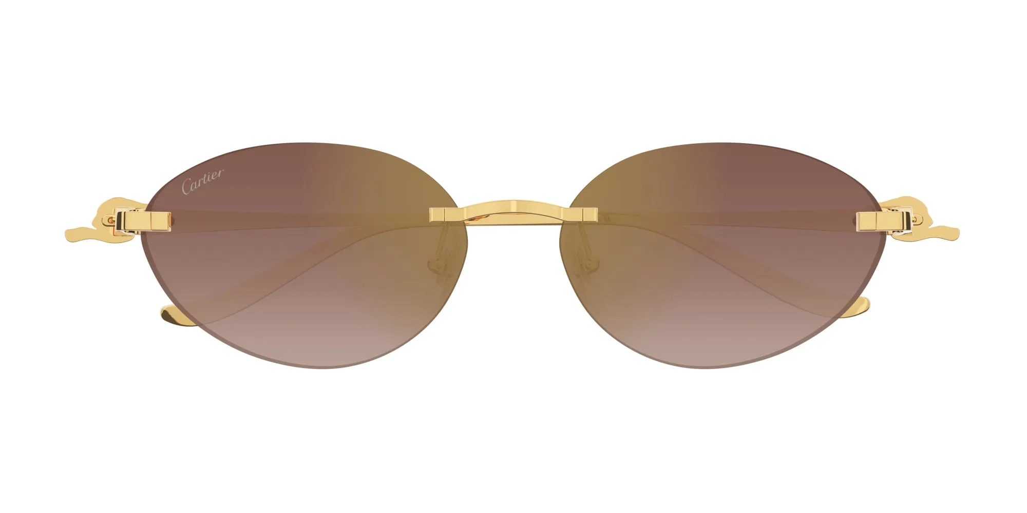 Cartier CT0504S sold by Fashion Eyewear product image thumbnail 2