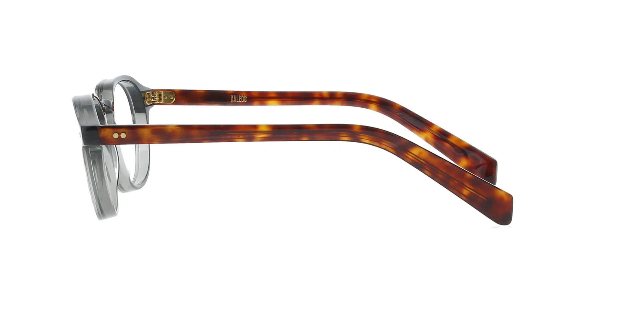 Transparent Green and Havana Kaleos Frame sold by Fashion Eyewear product image thumbnail 3