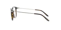 Glossy Dark Tortoise Ralph Lauren Frame sold by Fashion Eyewear