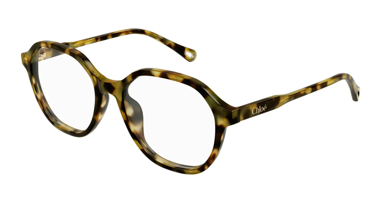 Chloe CH0315OA sold by Fashion Eyewear