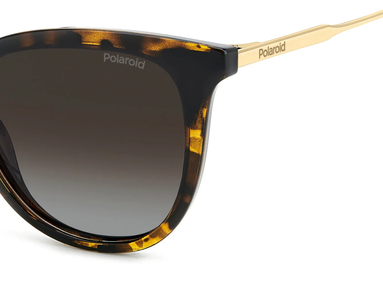 Polaroid PLD 4184/S/X sold by Fashion Eyewear product image thumbnail 5