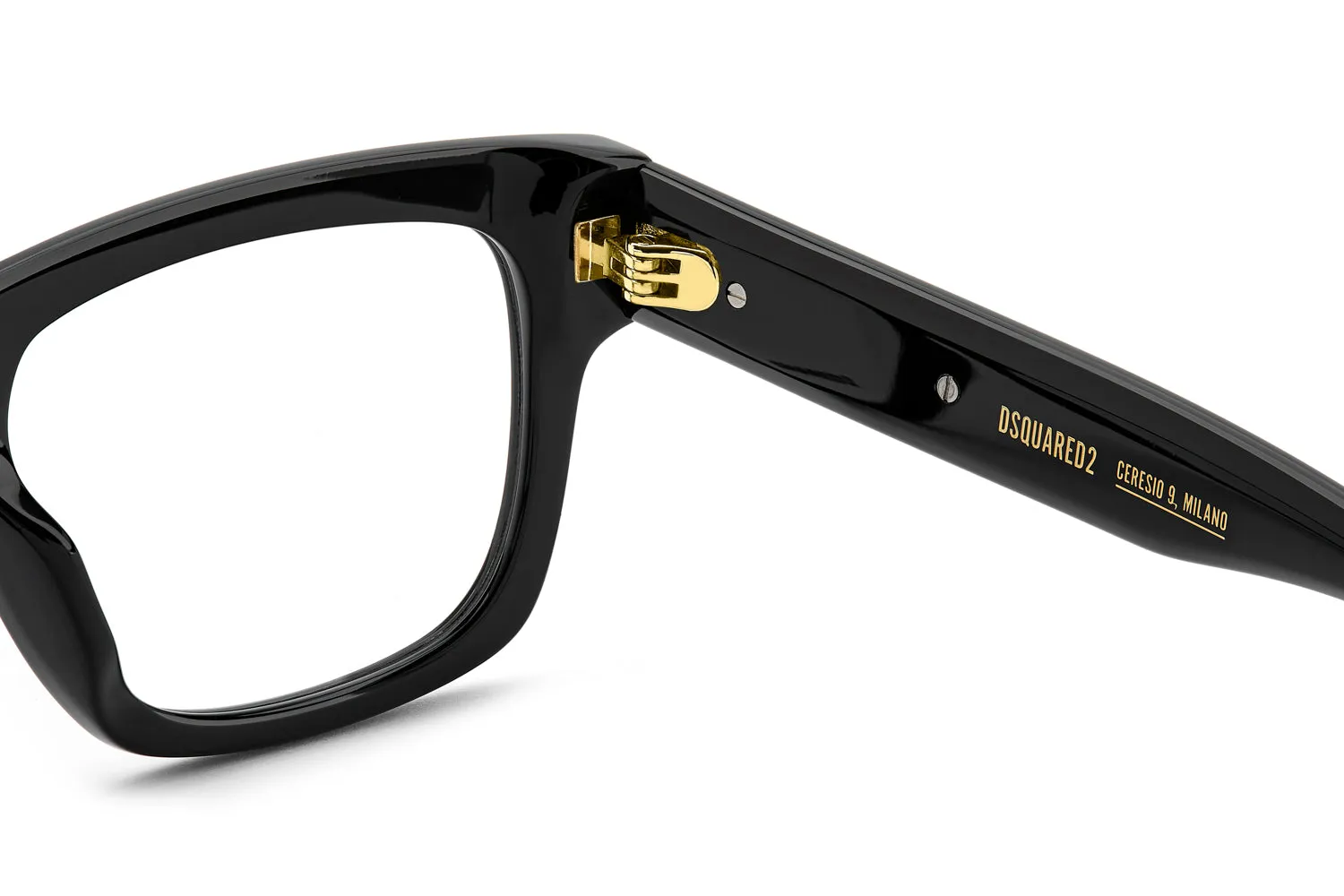 DSQUARED2 D2 0163 sold by Fashion Eyewear product image thumbnail 5