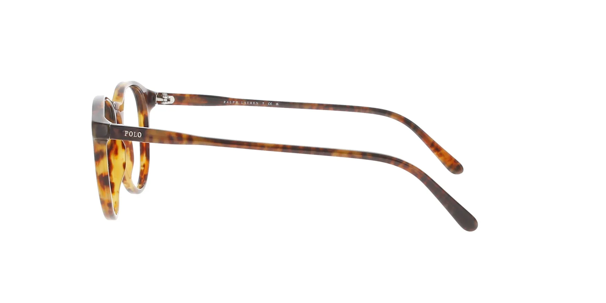 RALPH LAUREN Round Shiny Havana Frame sold by Fashion Eyewear product image thumbnail 3