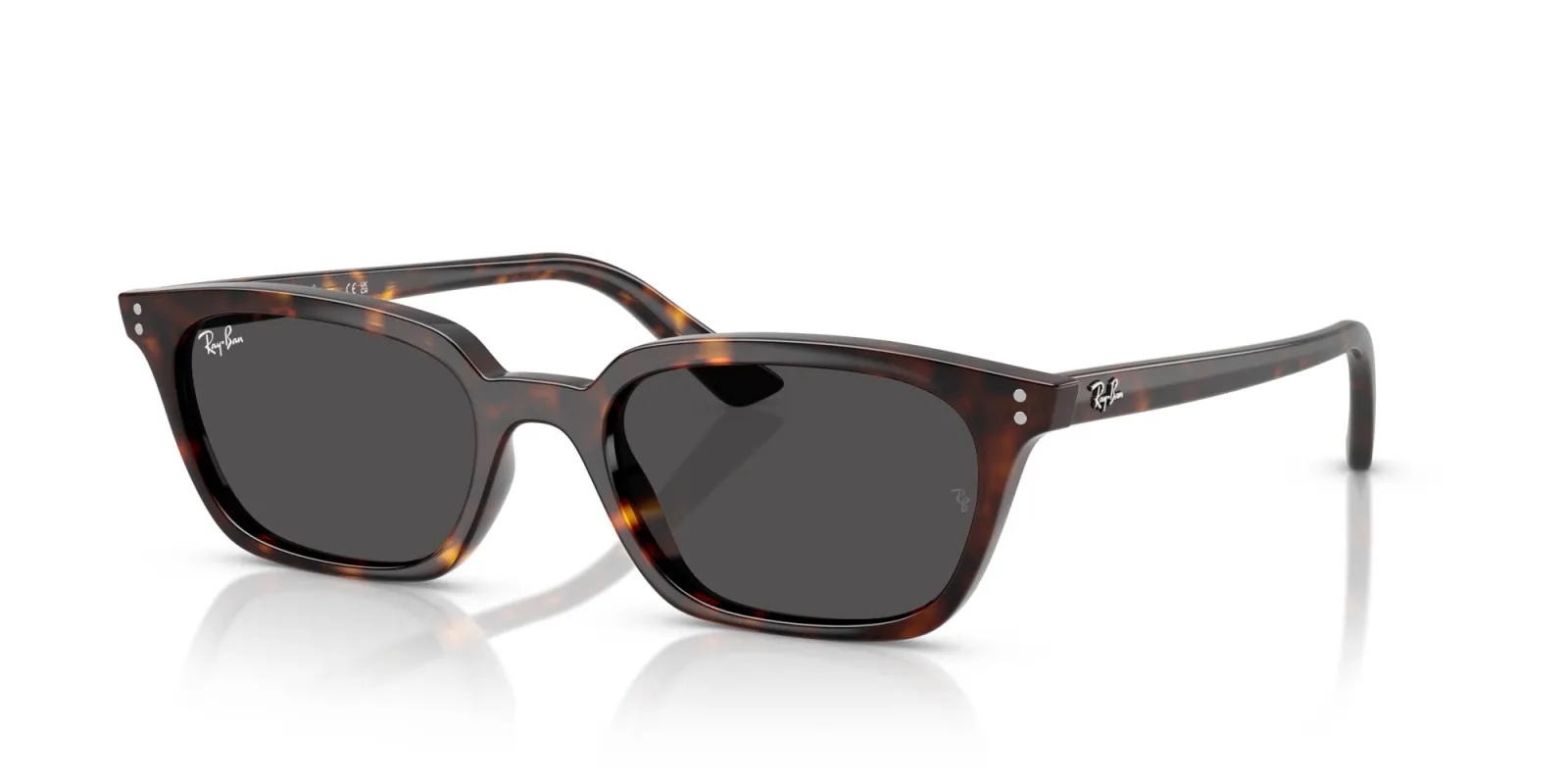Ray-Ban Zaya RB4456 sold by Fashion Eyewear