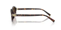 Tiffany TF4242D sold by Fashion Eyewear