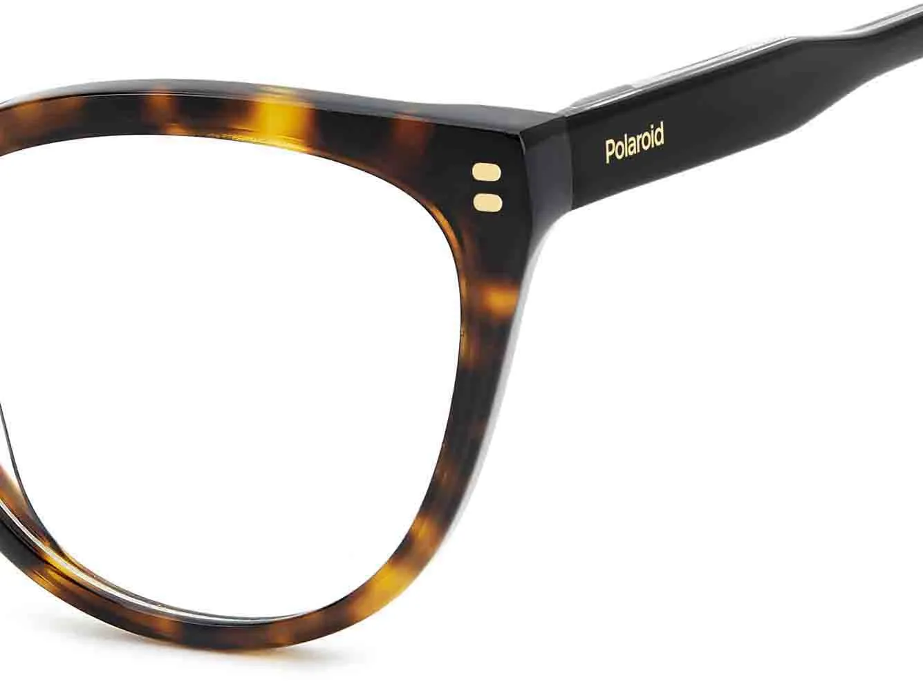 Polaroid PLD D585 sold by Fashion Eyewear product image thumbnail 5