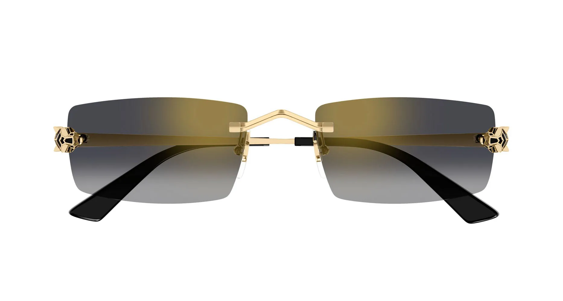 Cartier CT0598S sold by Fashion Eyewear product image thumbnail 2