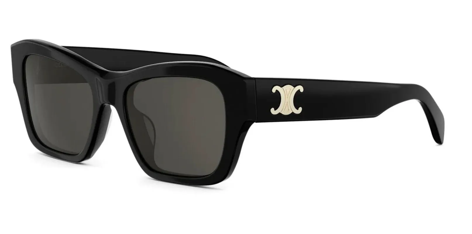 CELINE Triomphe CL40330U made by Celine