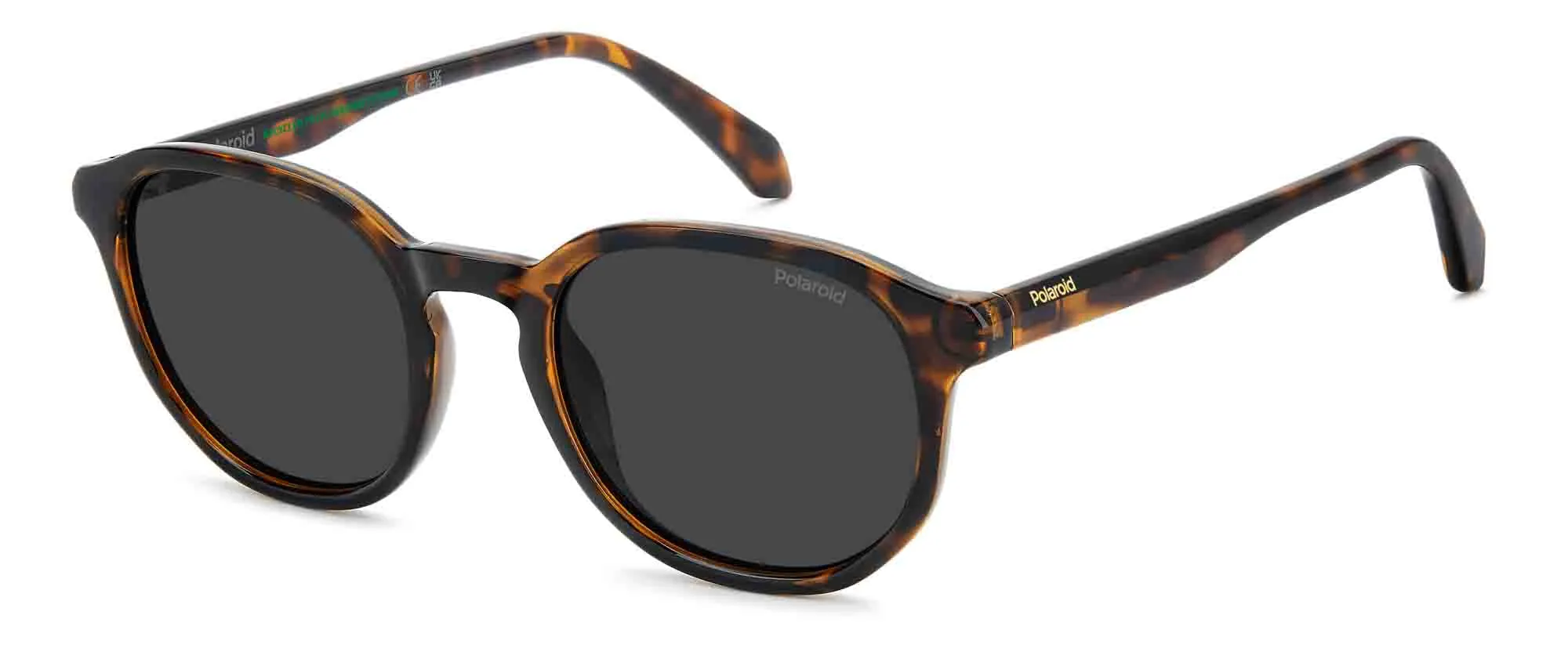 Polaroid PLD 4195/S sold by Fashion Eyewear