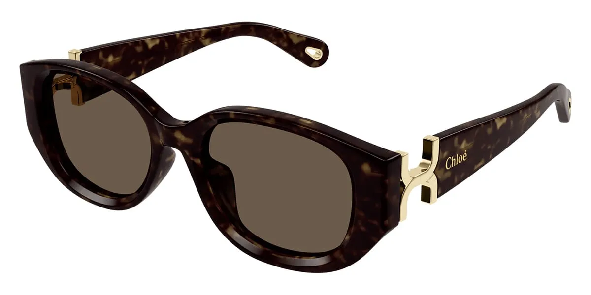 Chloe CH0237SK sold by Fashion Eyewear