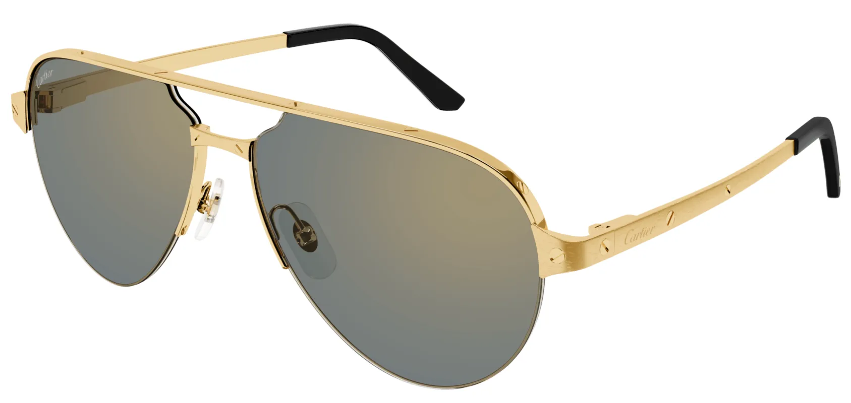 Cartier CT0386S made by Cartier