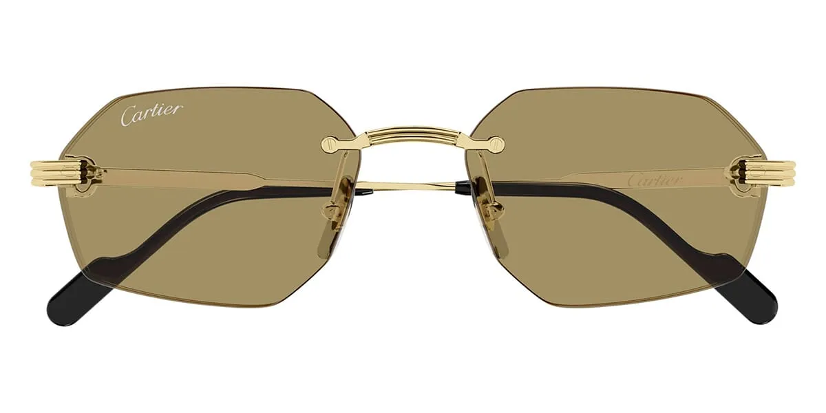 Cartier CT0616S sold by Fashion Eyewear product image thumbnail 5