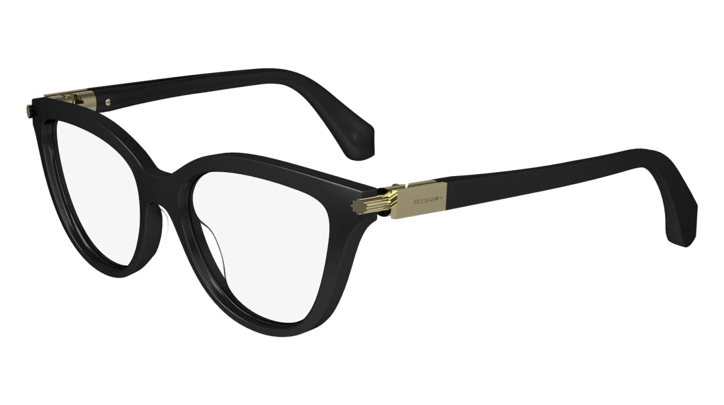Ferragamo SF2974 made by Salvatore Ferragamo