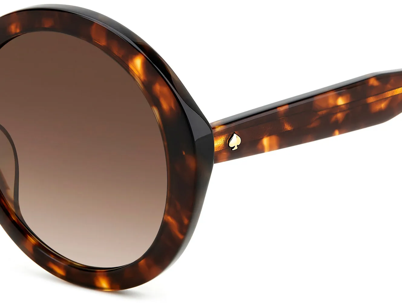 Kate Spade Zya/G/S sold by Fashion Eyewear product image thumbnail 4