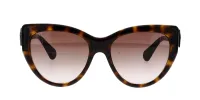 Gucci GG0877S sold by Fashion Eyewear