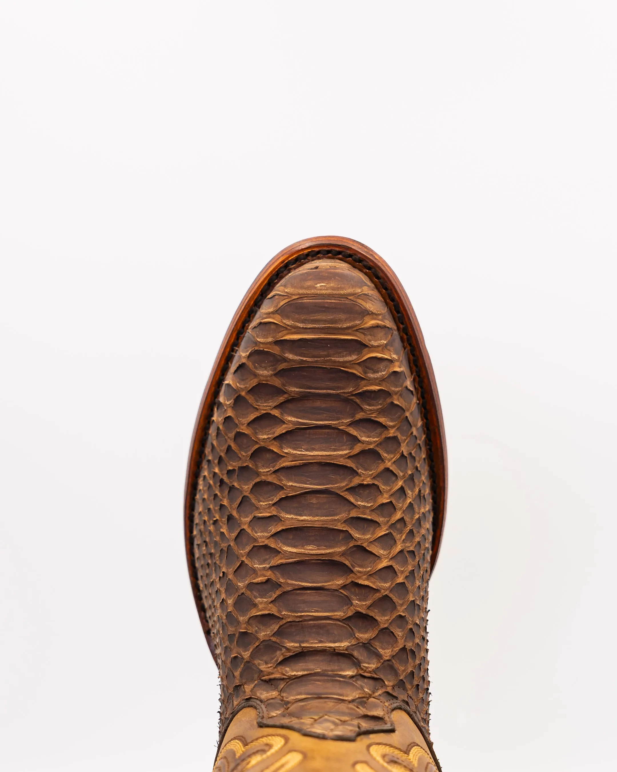 Rowdy Tamarindo sold by TEXAS COUNTRY product image thumbnail 4