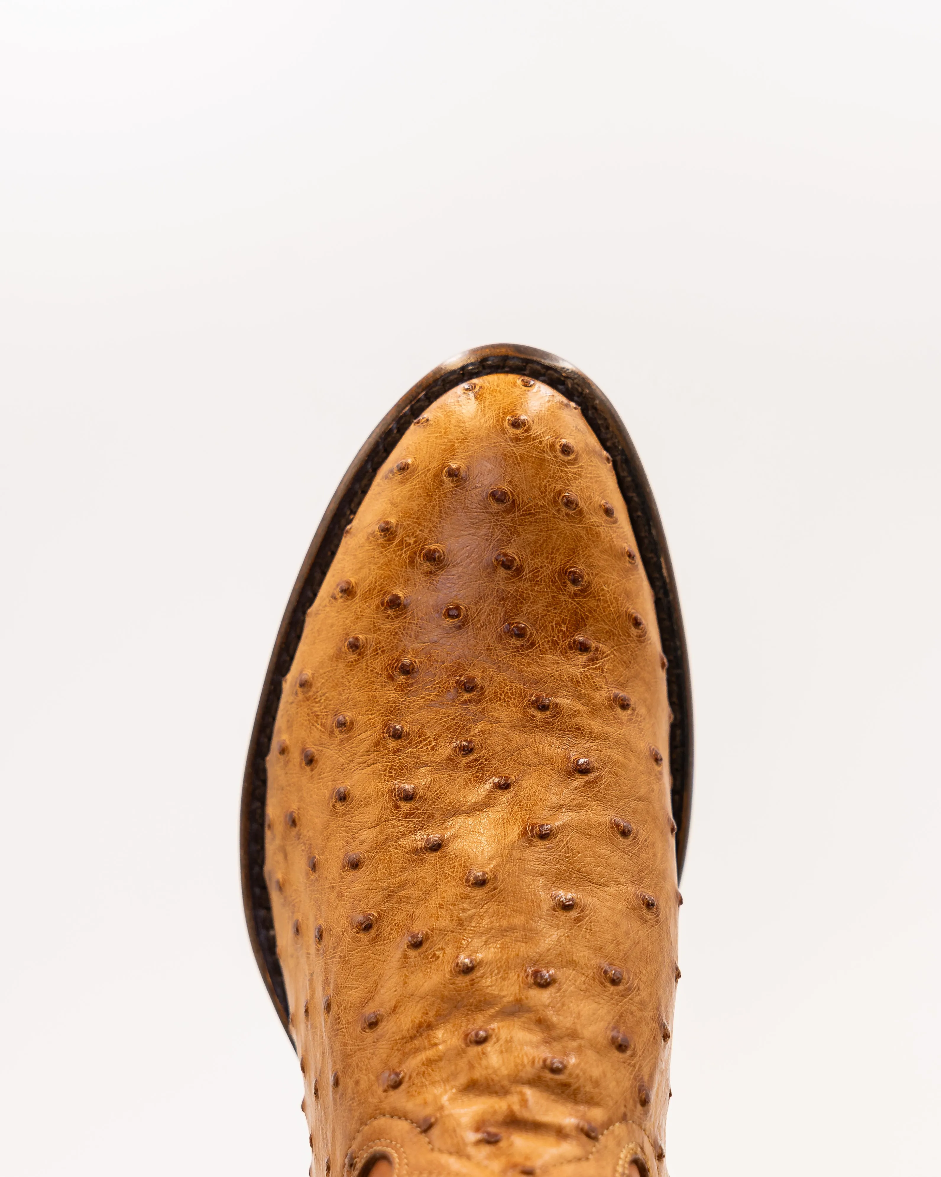 Bo Scotch sold by TEXAS COUNTRY product image thumbnail 5