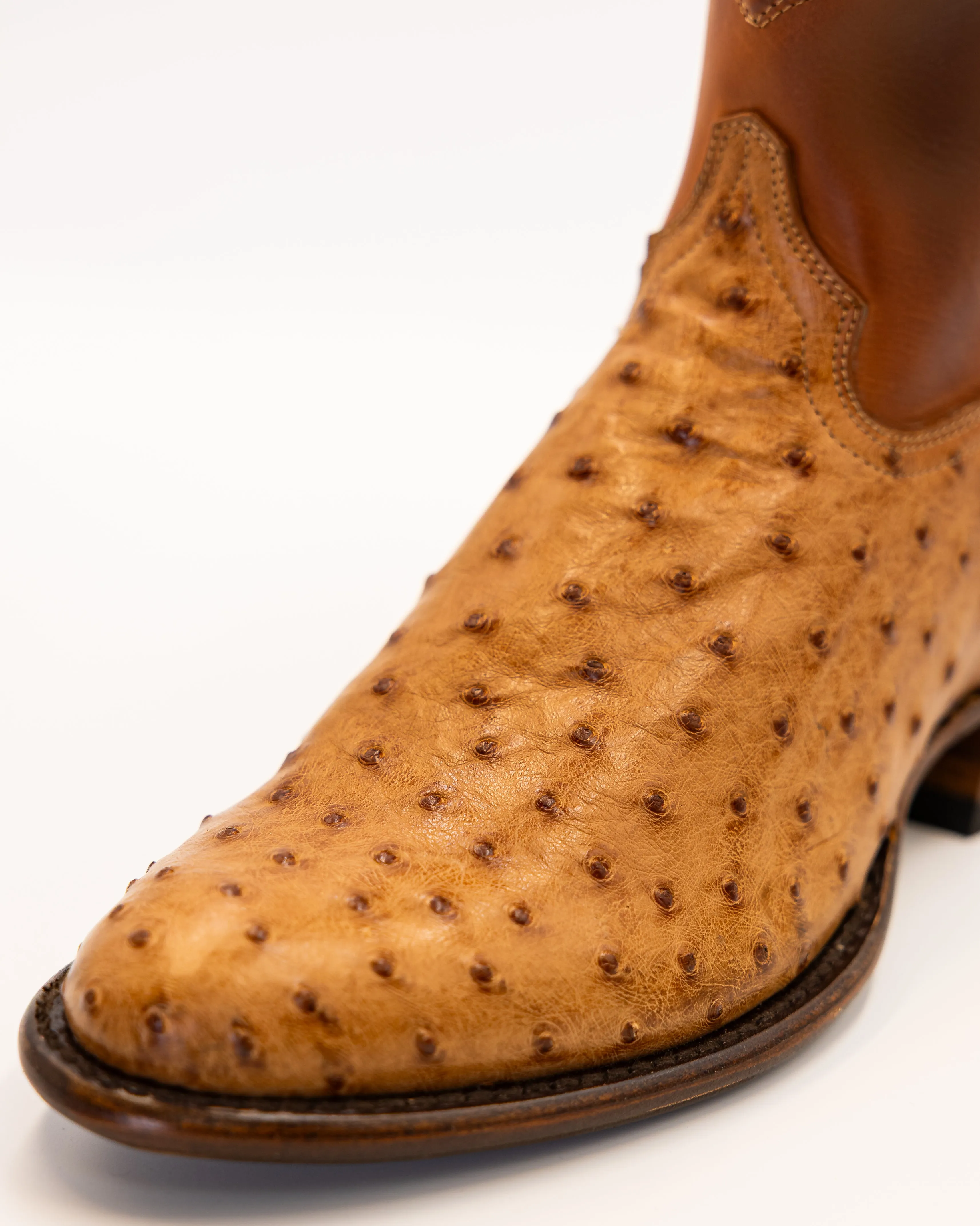Bo Scotch sold by TEXAS COUNTRY product image thumbnail 3