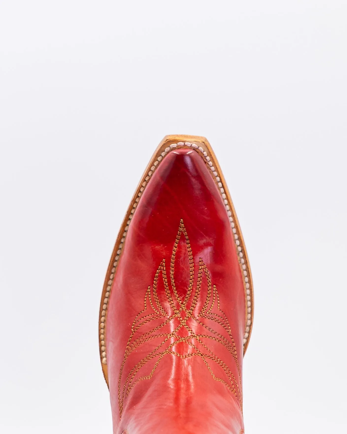 Chelsea Rose sold by TEXAS COUNTRY product image thumbnail 5