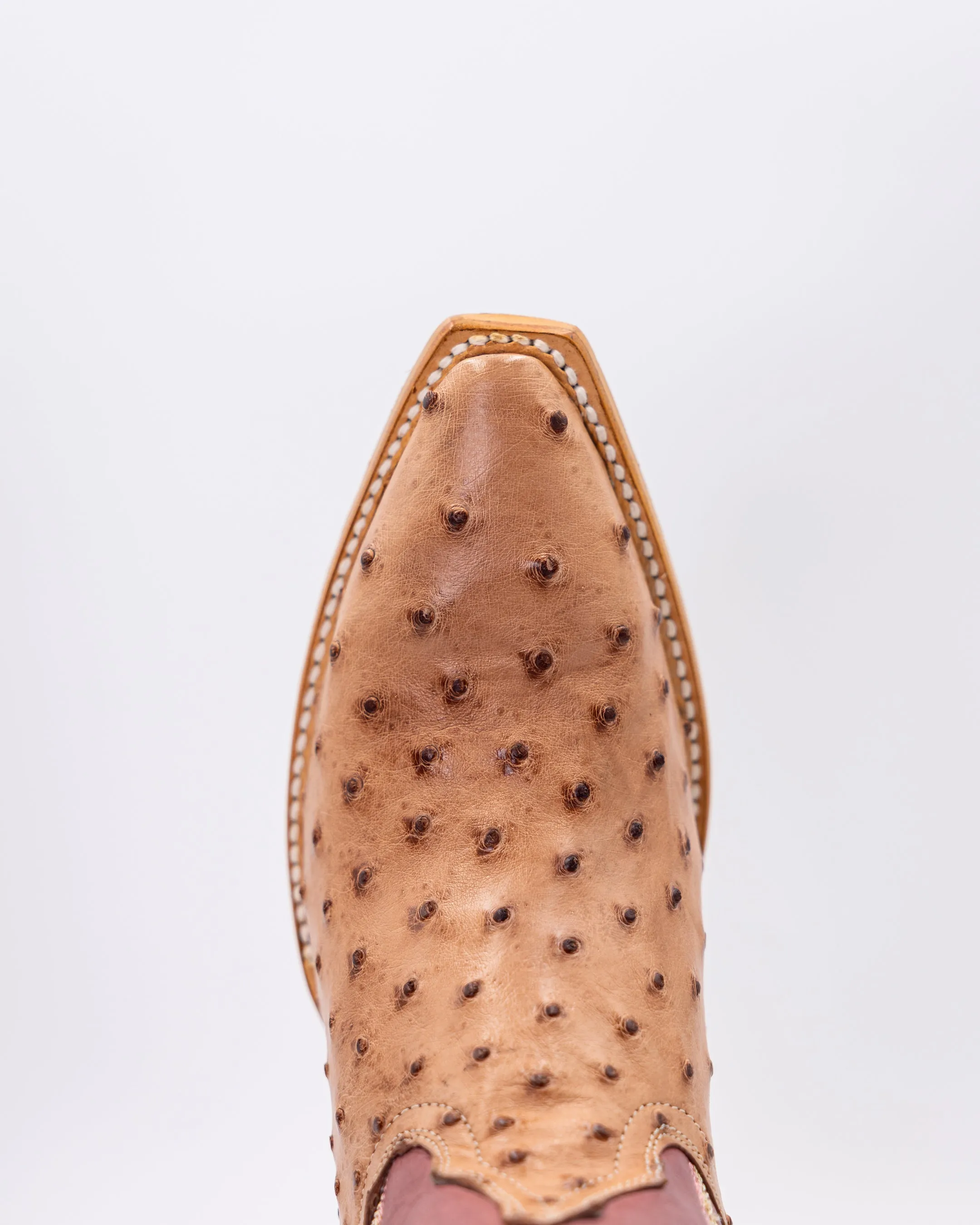Sierra Peach sold by TEXAS COUNTRY product image thumbnail 5