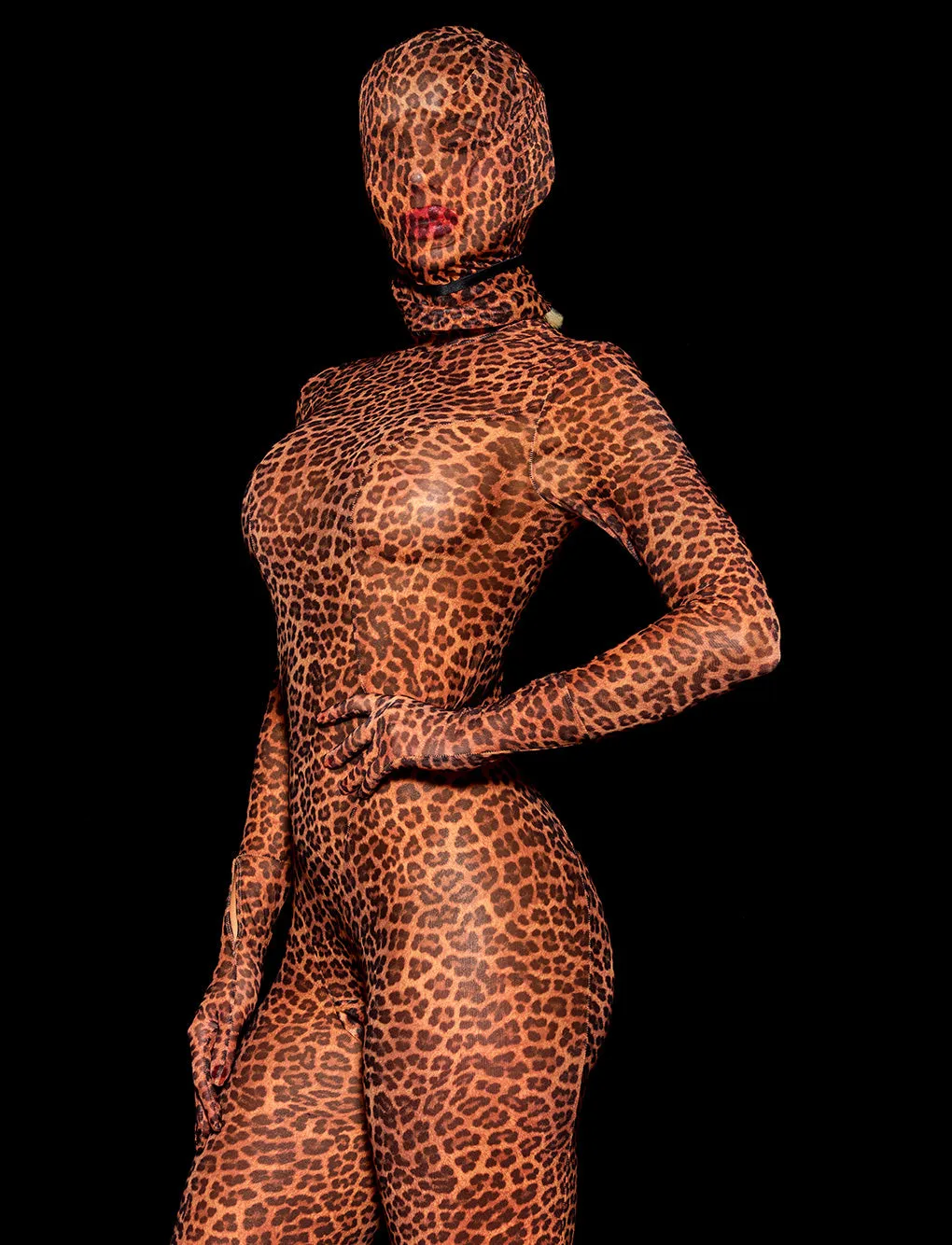 Sumi Leopard Headpiece sold by Honey Birdette product image thumbnail 4