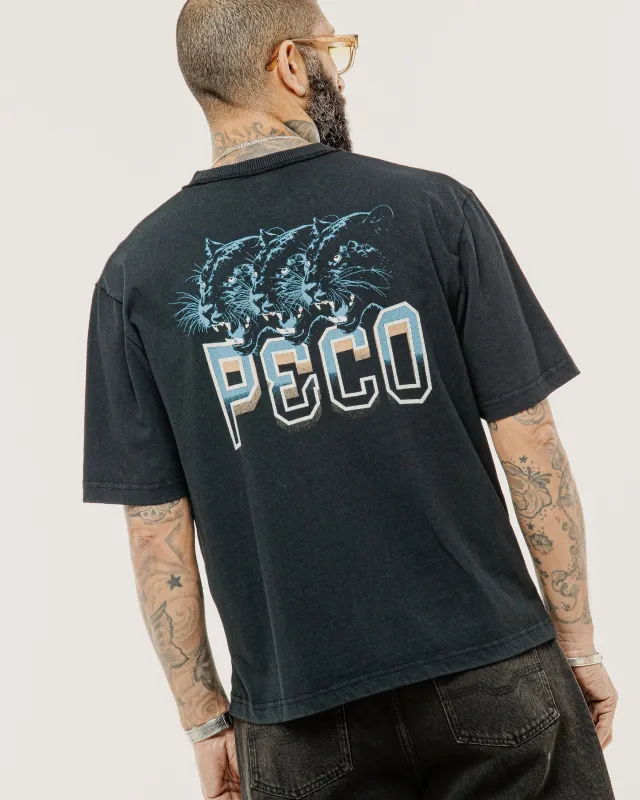 Panther Sports Boxy T-Shirt - Heavy Washed Black made by P & Co