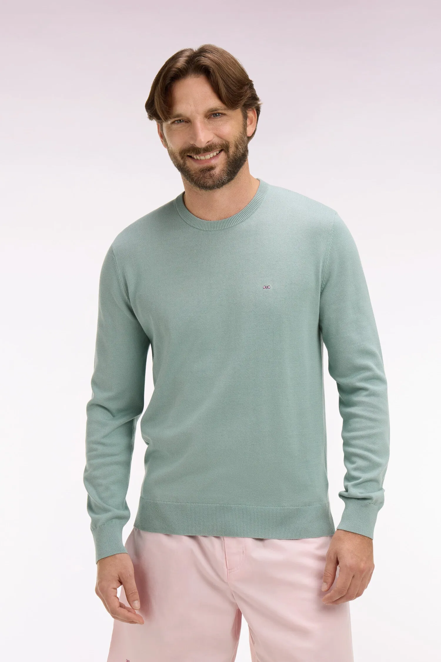 Pull col rond en coton vert d'eau sold by Eden Park product image thumbnail 3