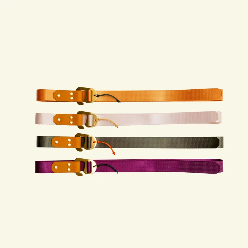 Alpine Belt sold by William Ellery