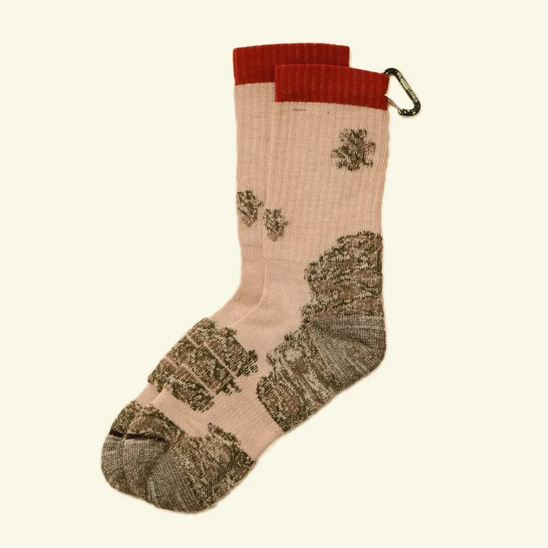 LICHEN SOCKS 16 sold by William Ellery