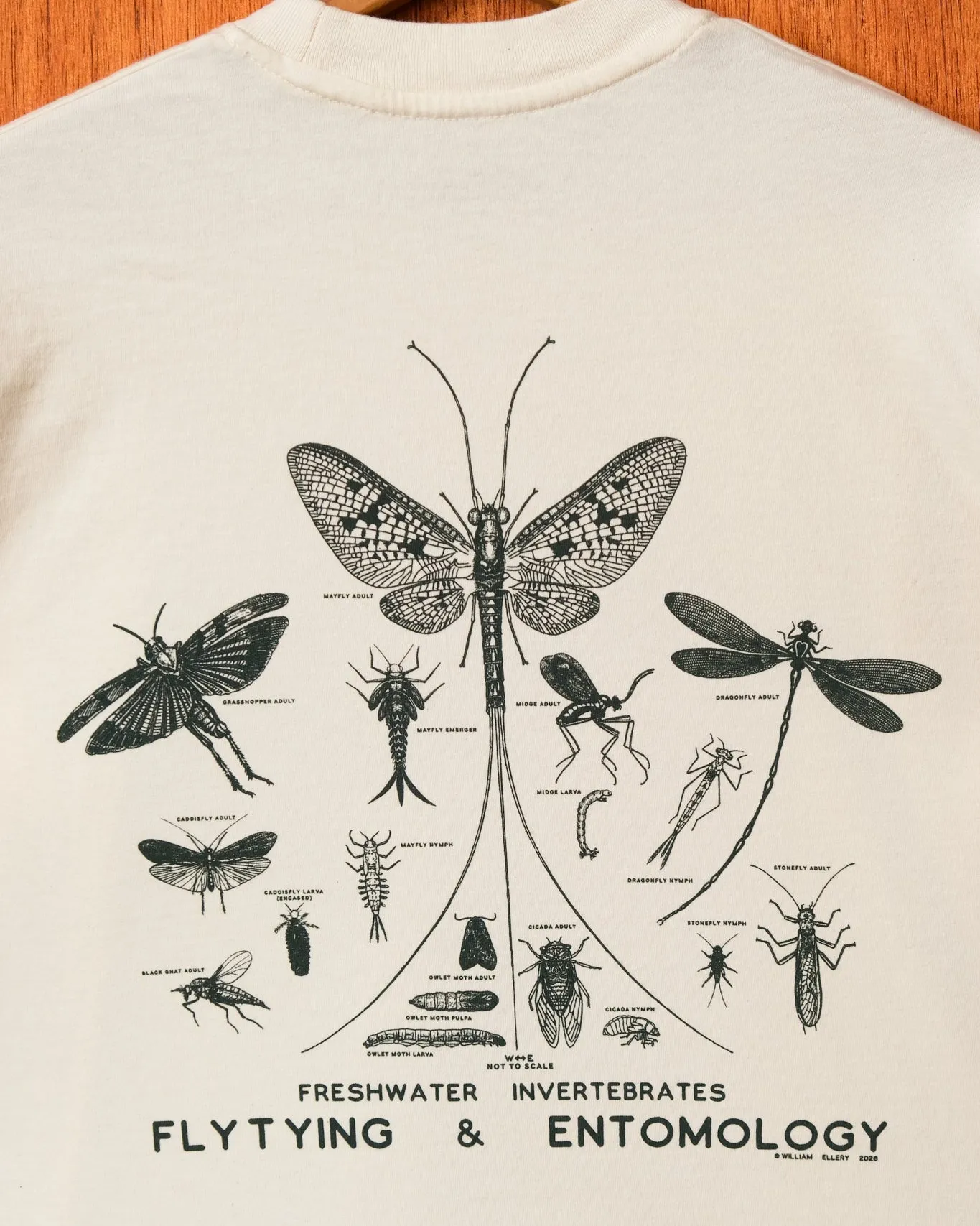 Fly Tying and Entomology Shirt sold by William Ellery product image thumbnail 3
