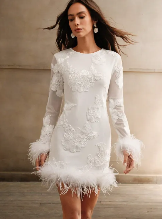 FELICITE EMBROIDERY FEATHER SLEEVE MINI DRESS sold by hitheredarling product image thumbnail 2