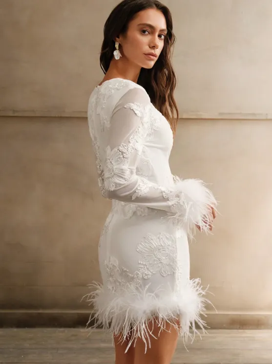 FELICITE EMBROIDERY FEATHER SLEEVE MINI DRESS sold by hitheredarling product image thumbnail 3