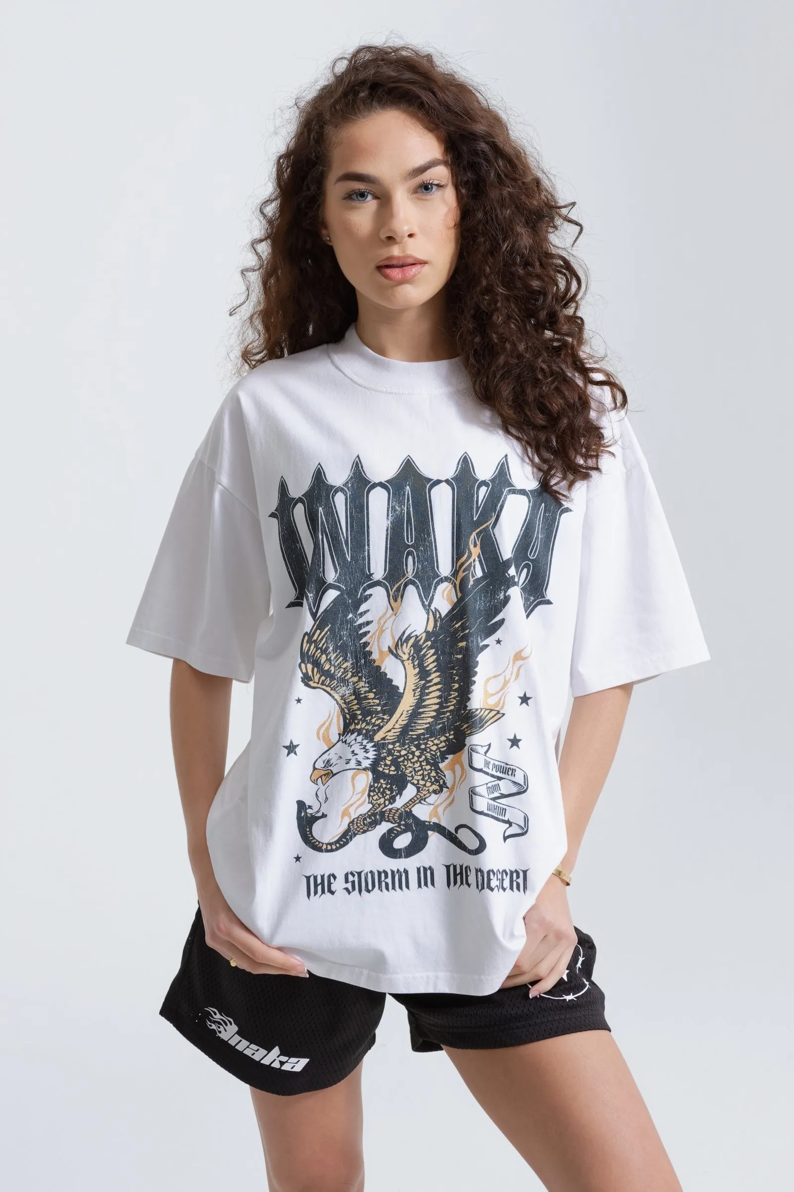 SKYRIDER TEE - WHITE sold by Inaka power product image thumbnail 2