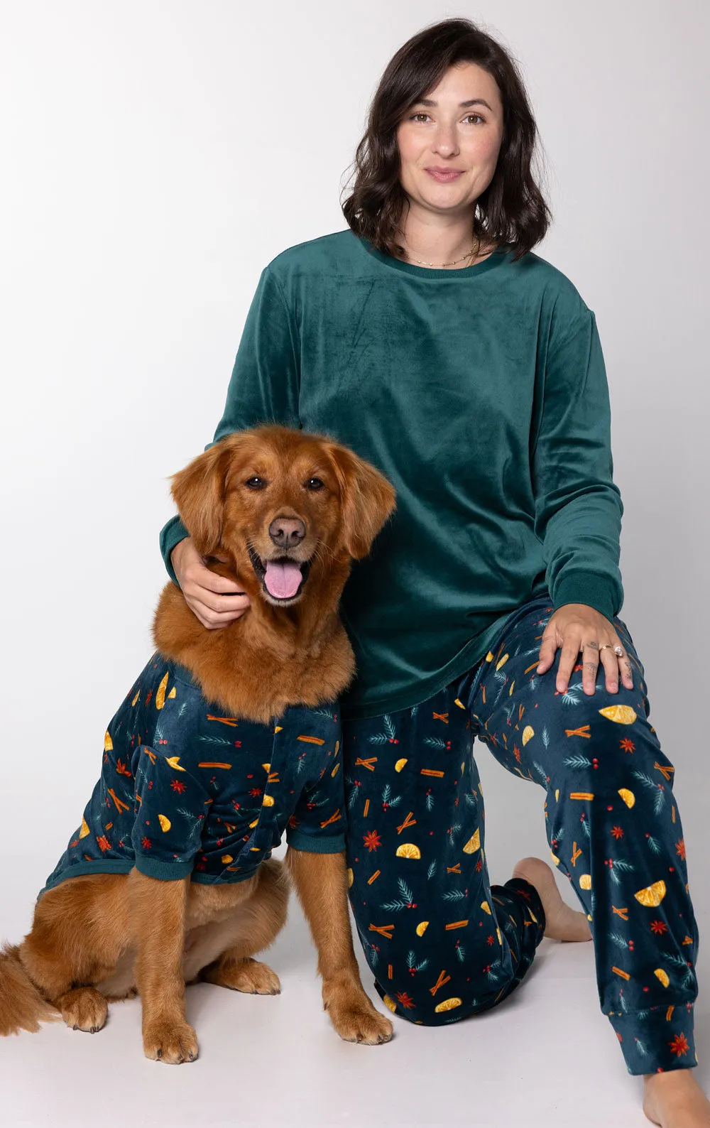 Holiday Garland Matching Pet & Owner Pajamas sold by Pajamagram