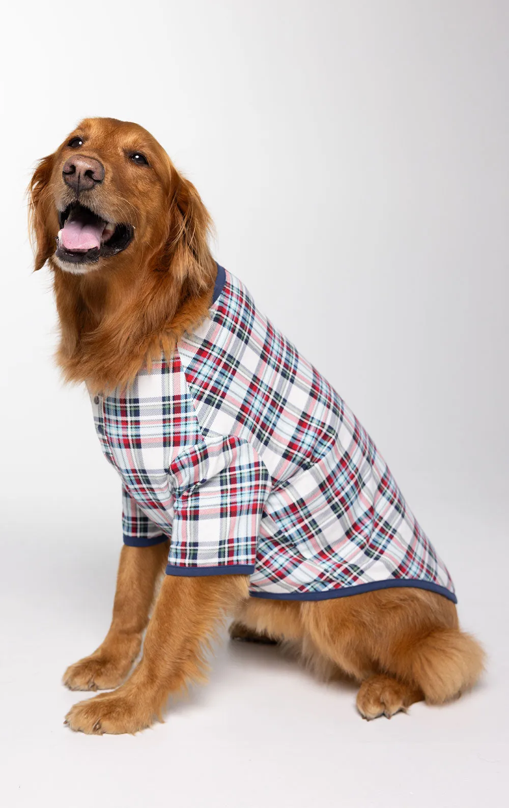 Hibernation Plaid Pet Pajamas sold by Pajamagram product image thumbnail 3