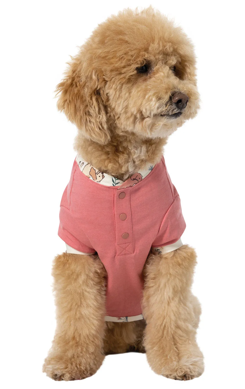 Playful Blooms Dog Pajamas - Pet & Owner sold by Pajamagram