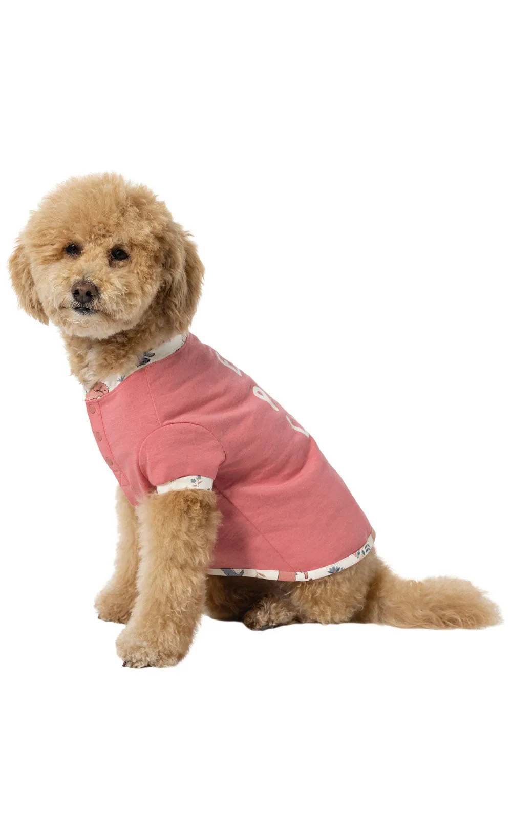 Playful Blooms Dog Pajamas - Pet & Owner sold by Pajamagram product image thumbnail 4