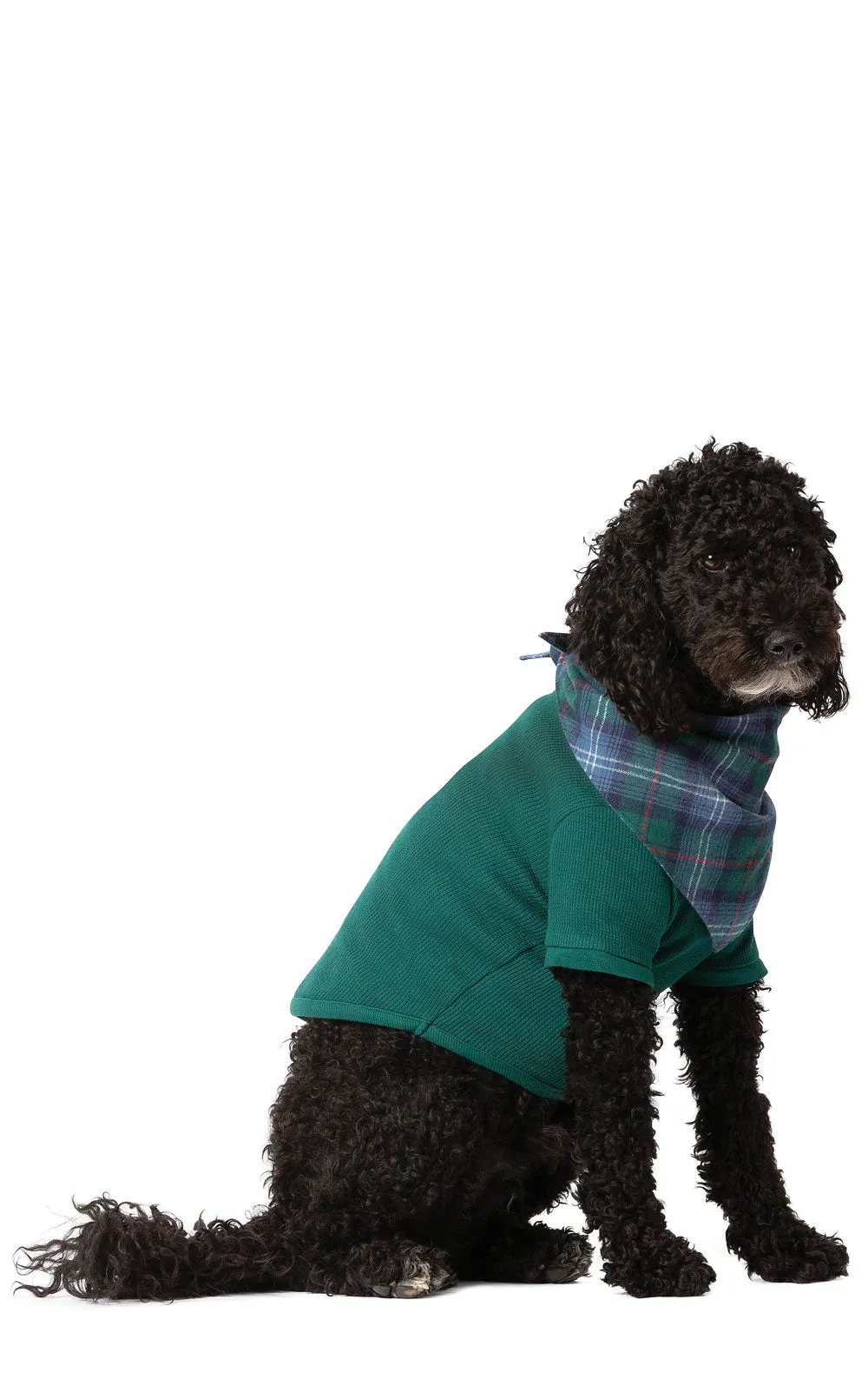 Heritage Plaid Thermal Pet Pajamas - Pet & Owner sold by Pajamagram