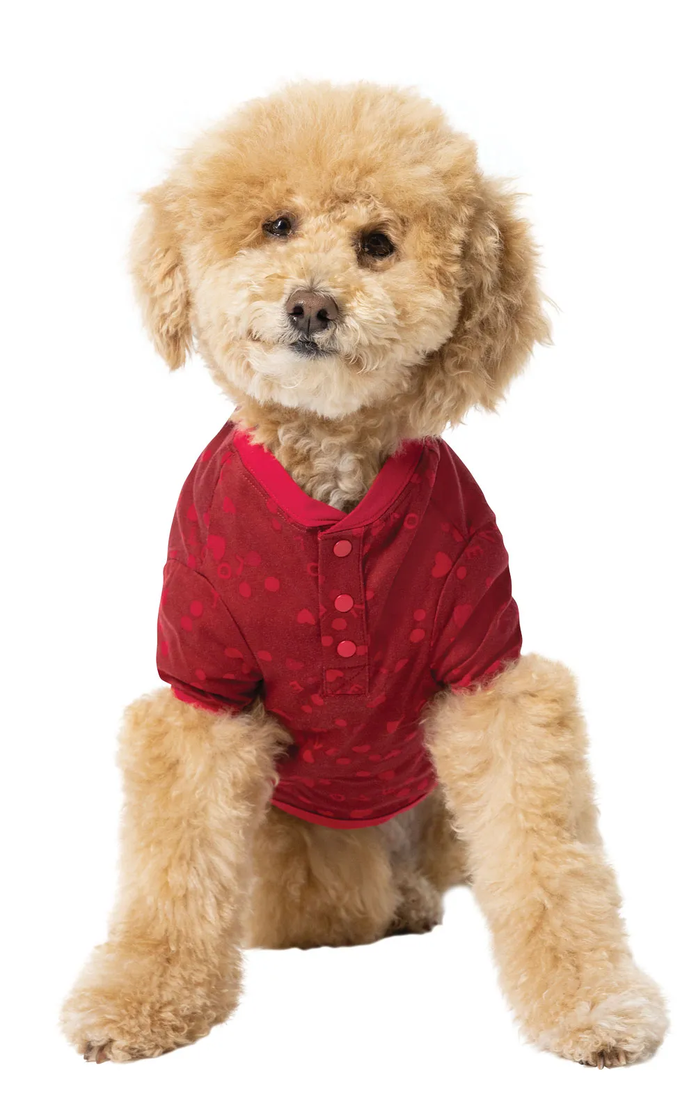 Sweet Love Pet & Owner Pajamas sold by Pajamagram product image thumbnail 4