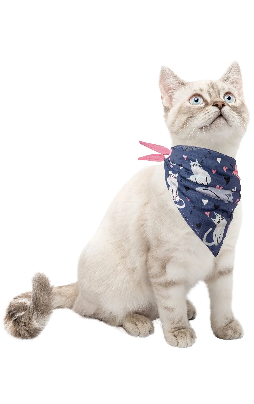 Home Is Where Your Cats Are Cat Pajamas sold by Pajamagram product image thumbnail 2