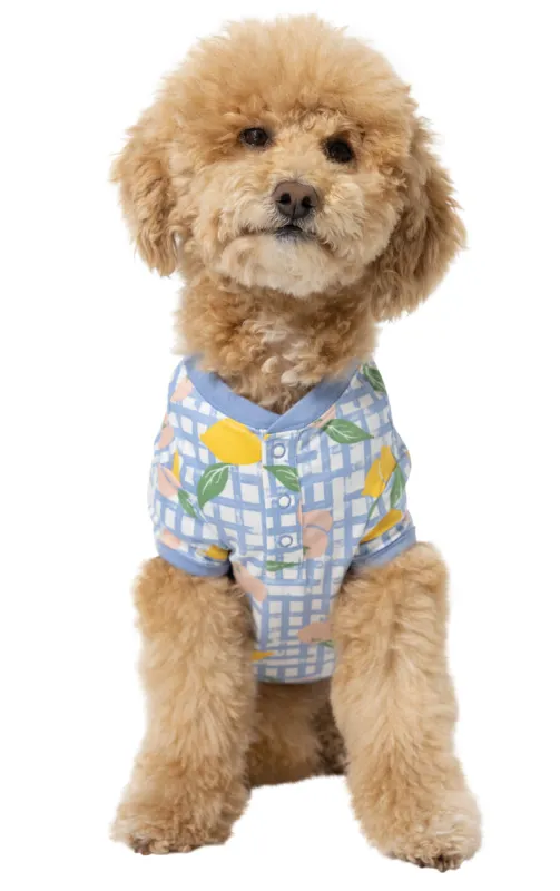 Countryside Gingham Pet Pajamas sold by Pajamagram