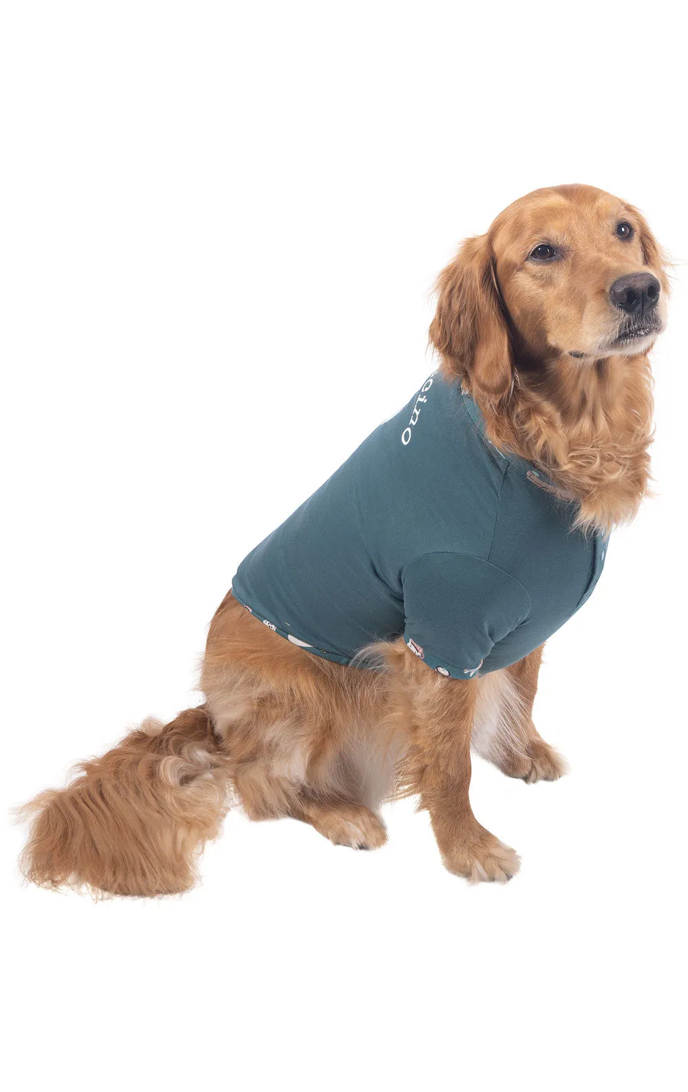 Coffee Dogs Pet Pajamas sold by Pajamagram