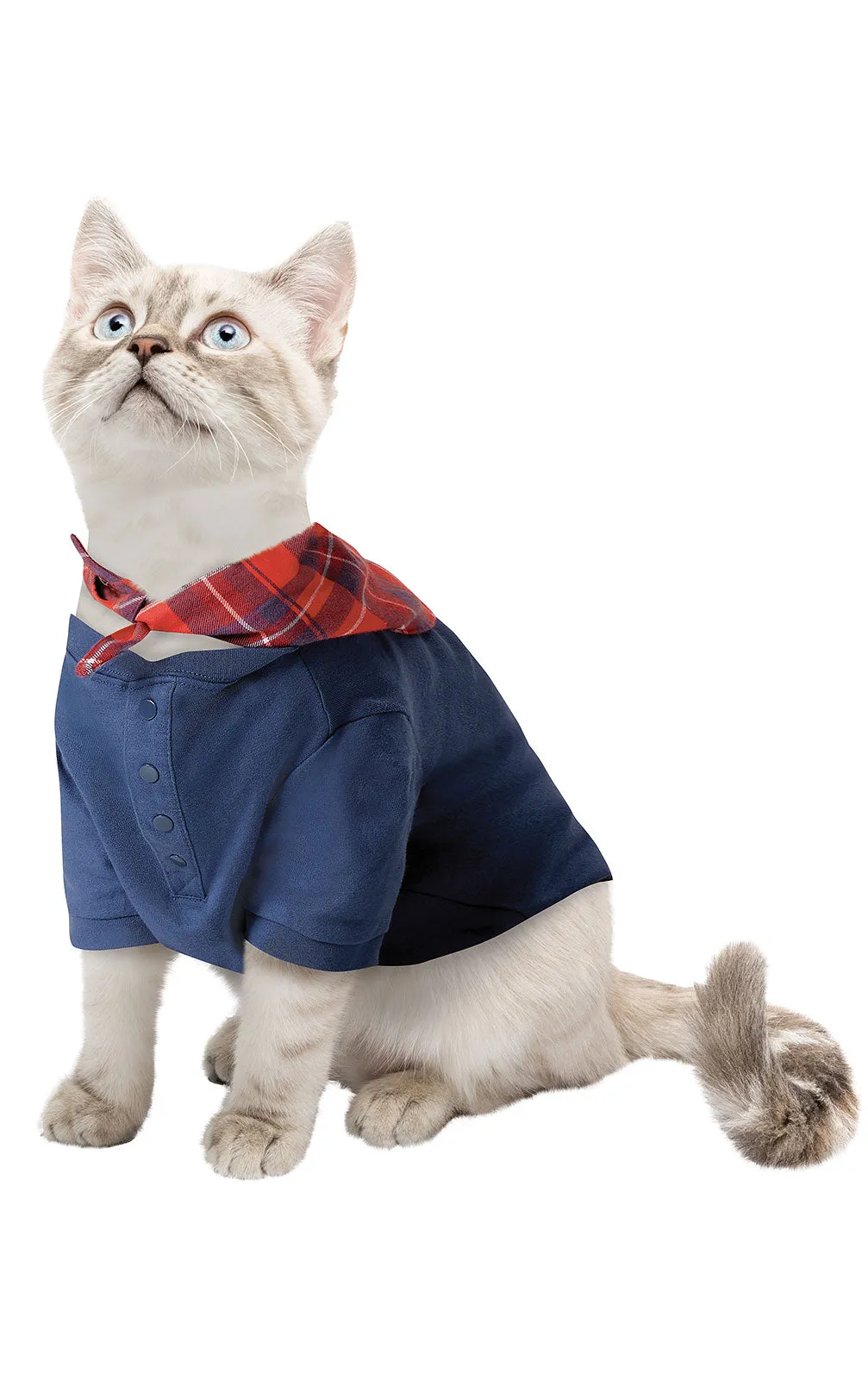 Americana Plaid Pet Pajamas sold by Pajamagram product image thumbnail 2