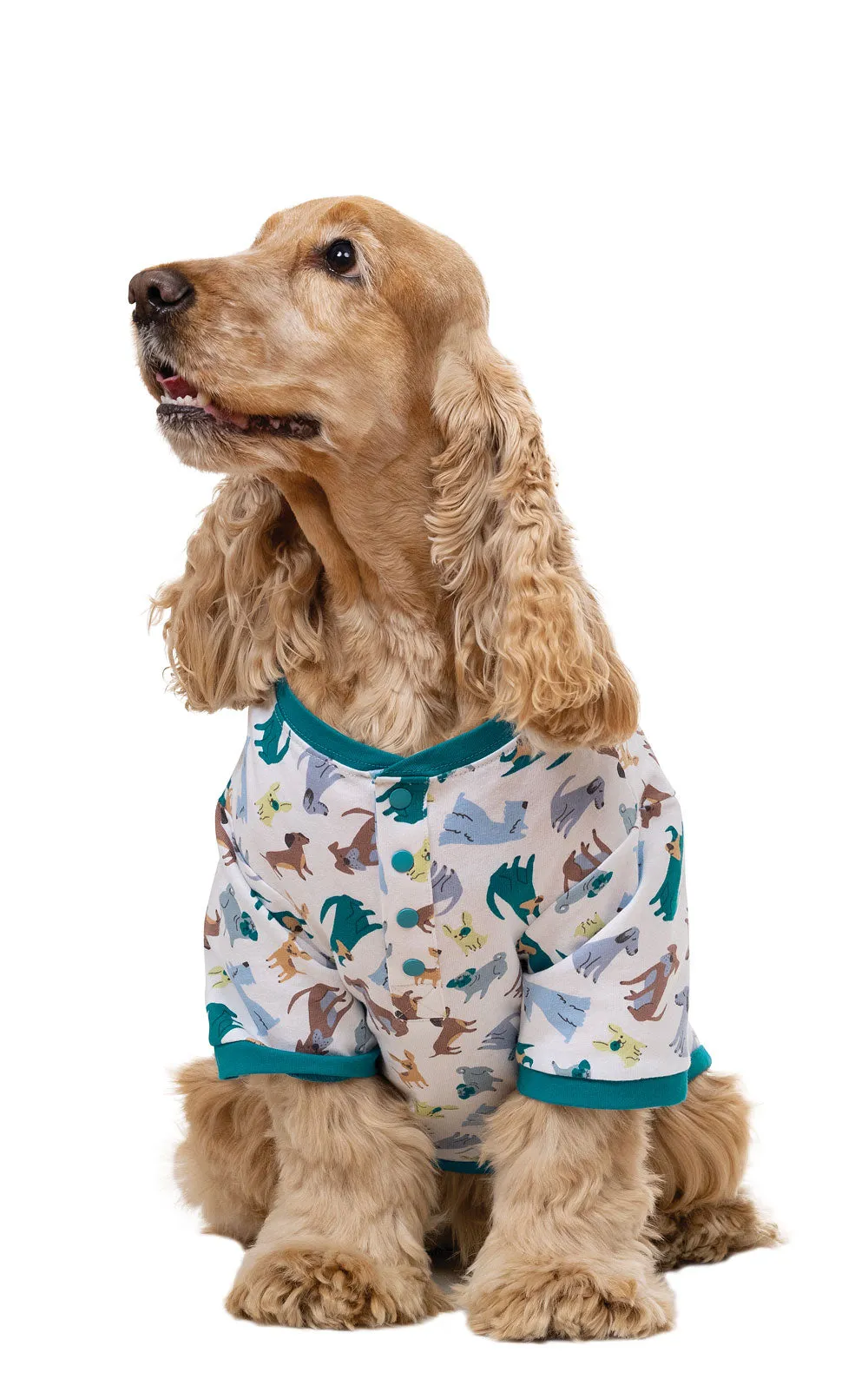 "Dogs Are My Favorite" Dog Pajamas sold by Pajamagram product image thumbnail 3