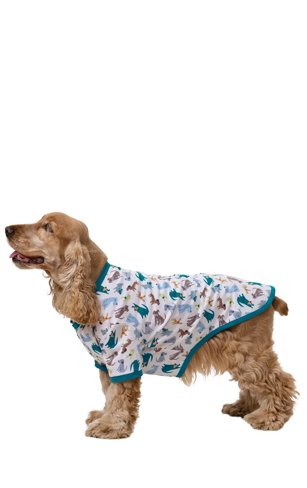 "Dogs Are My Favorite" Dog Pajamas sold by Pajamagram product image thumbnail 2